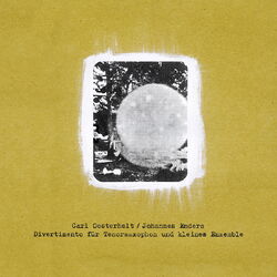 Cover of Divertimento Für Tenorsaxophon Und Kleines Ensemble