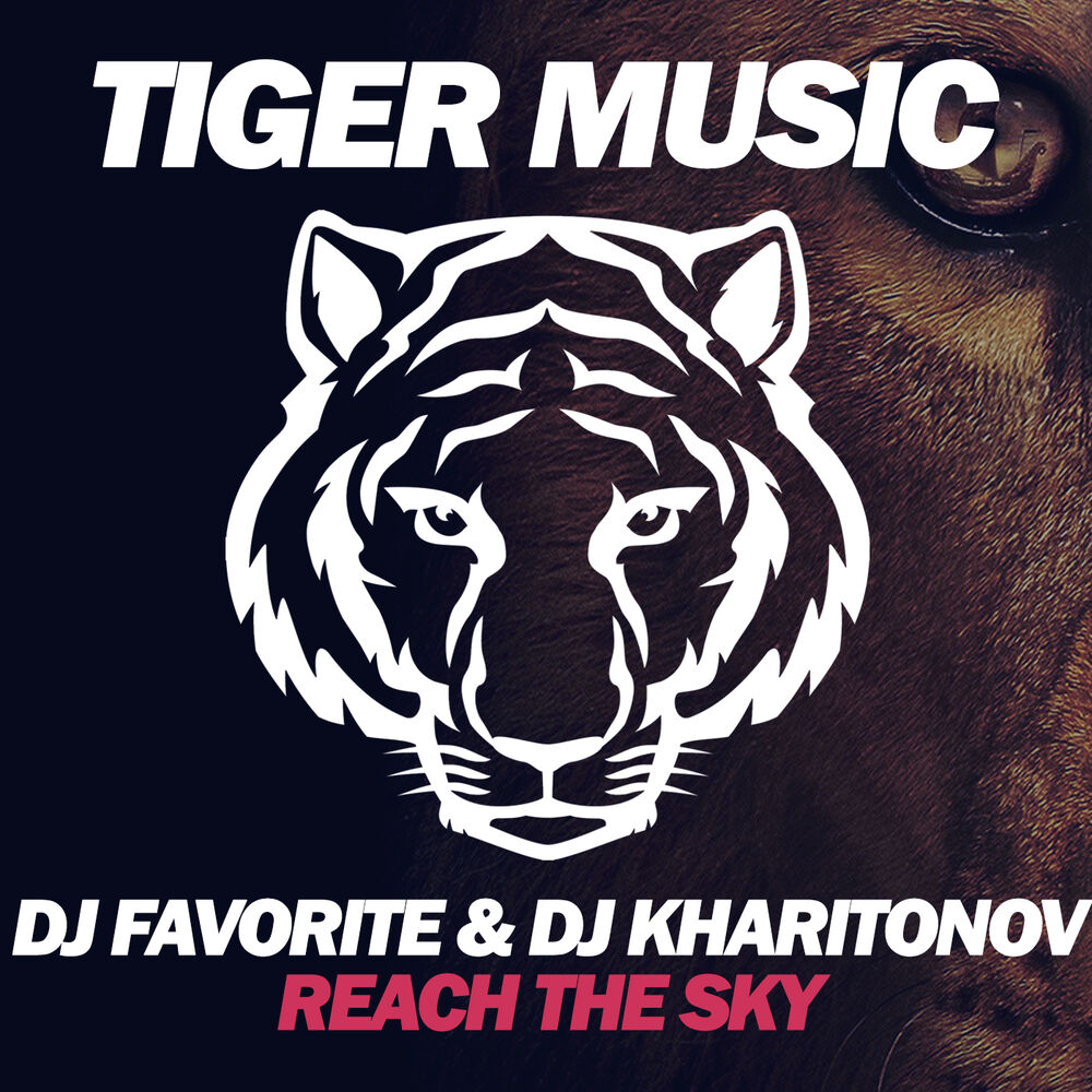 Picture of Reach The Sky