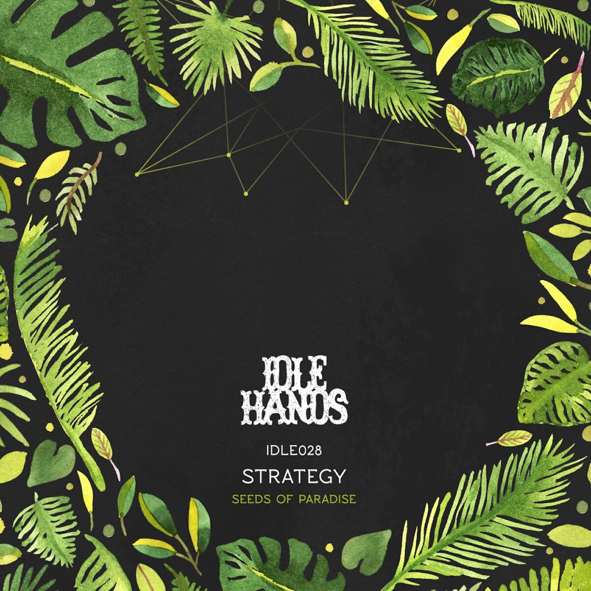 Album cover of Seeds of Paradise