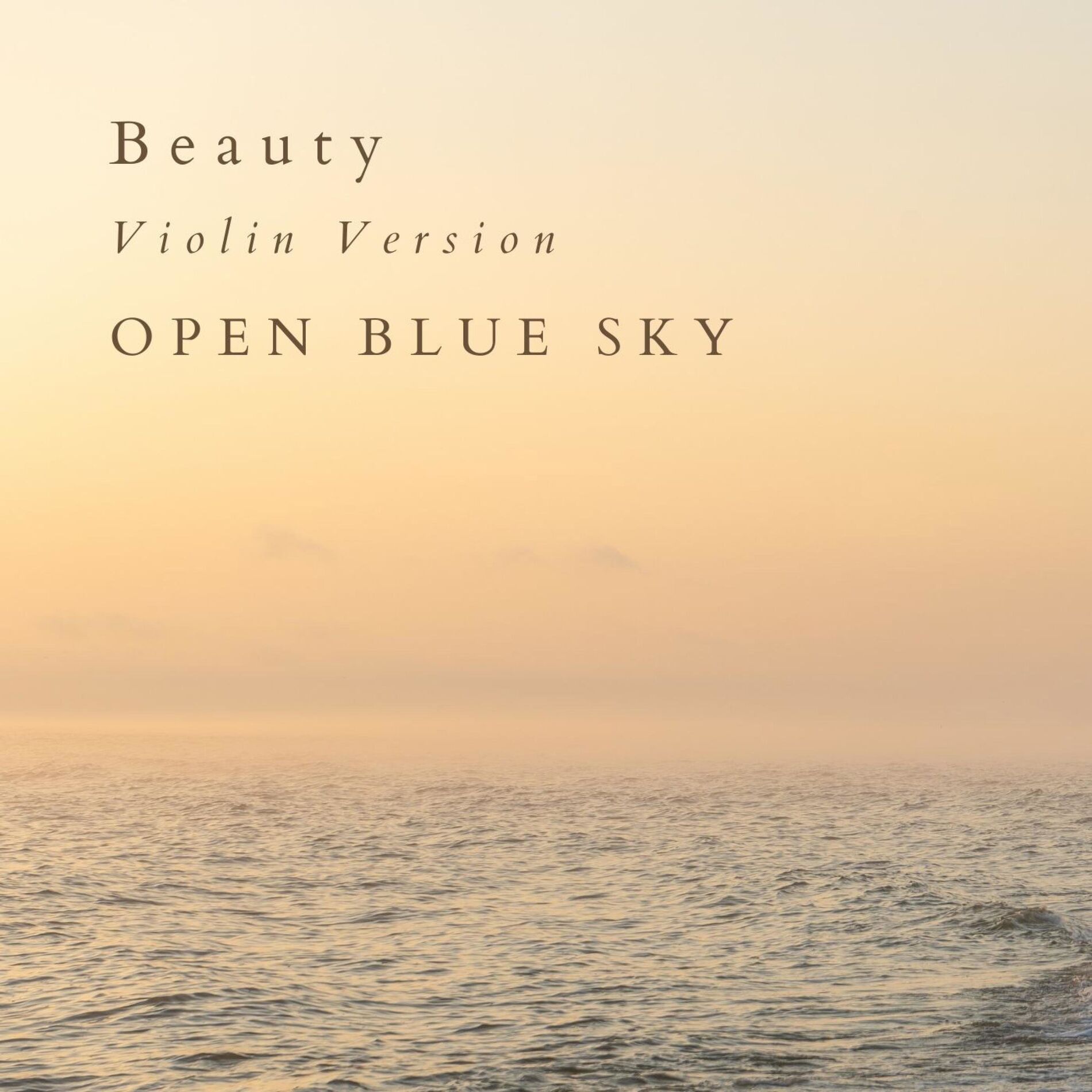 Album cover of Beauty (Violin Version)