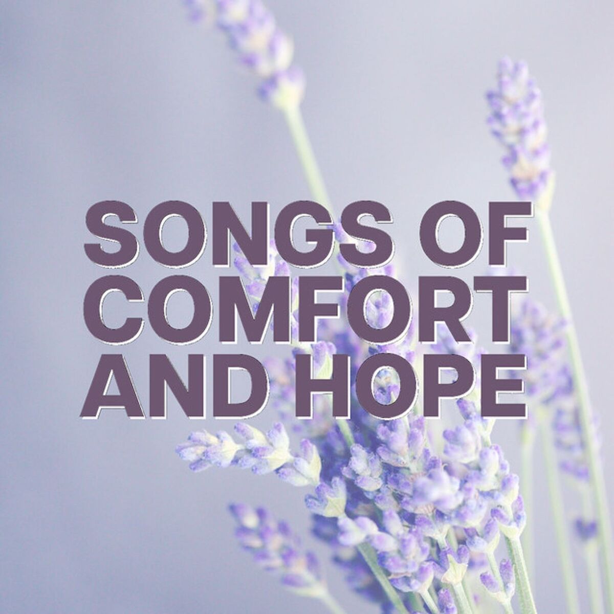 Album cover of Songs of Comfort and Hope
