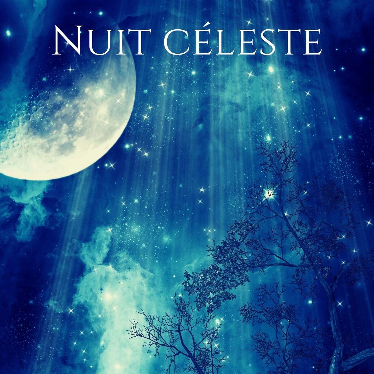 Album cover of Nuit céleste: Musique de sommeil magique calme, Guérison de la musique de méditation relaxante