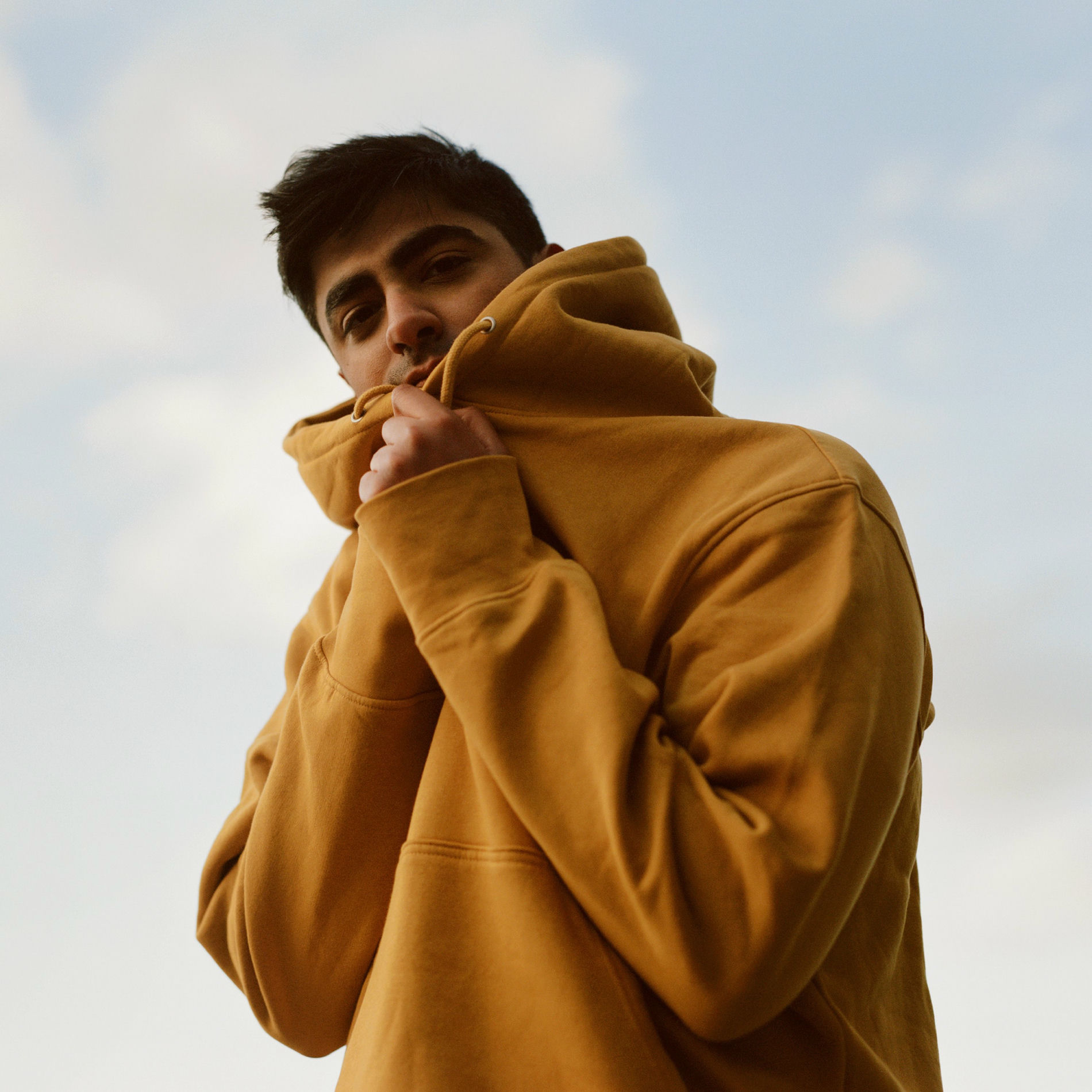 Album cover of january