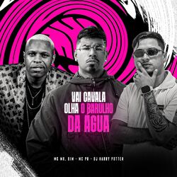 Cover of VAI CAVALA, OLHA O BARULHO DA ÁGUA