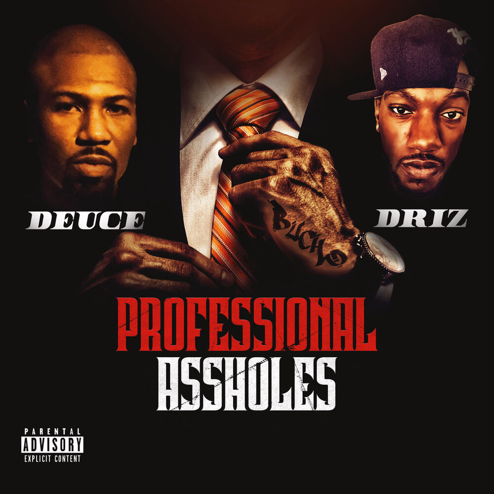Picture of Professional Assholes