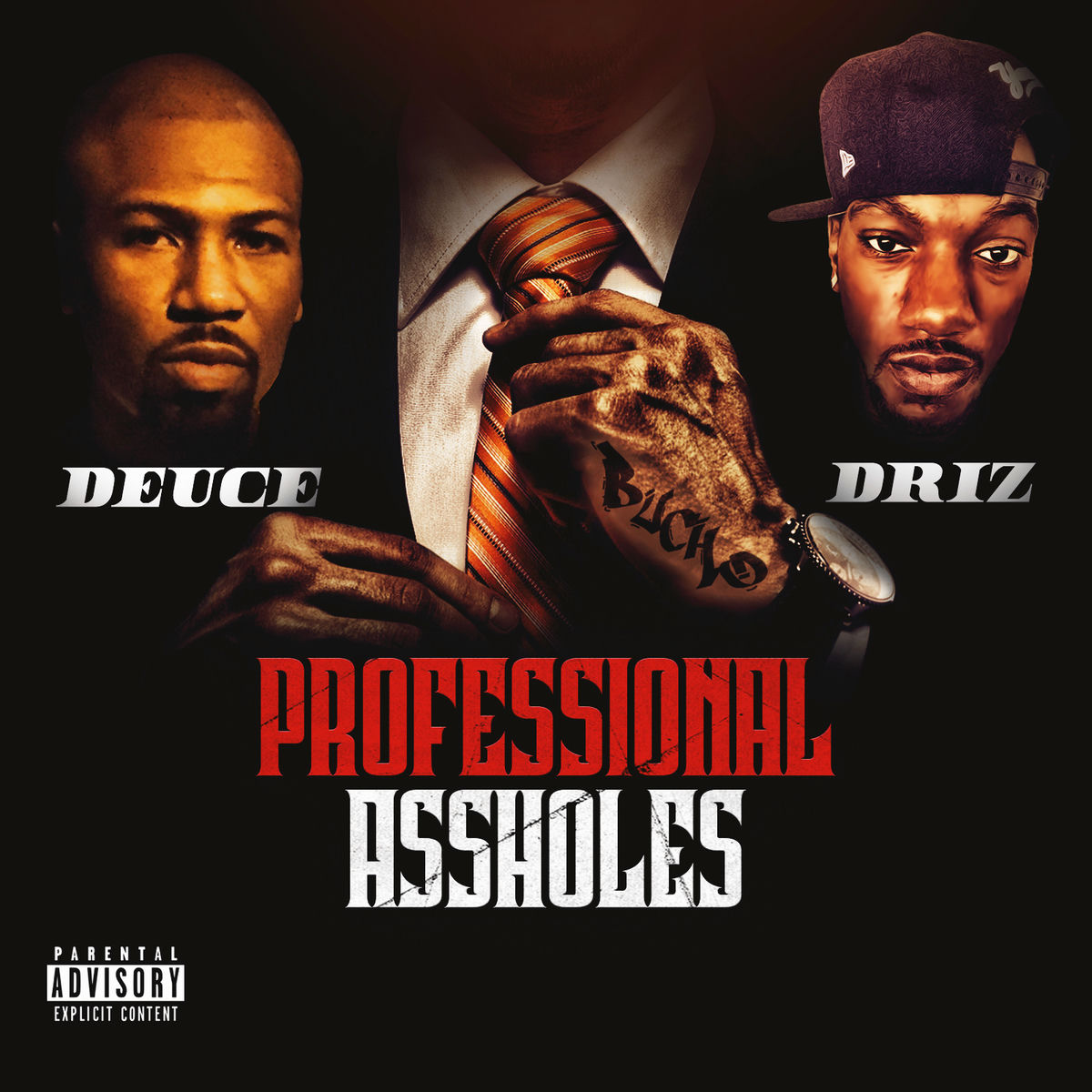 Album cover of Professional Assholes
