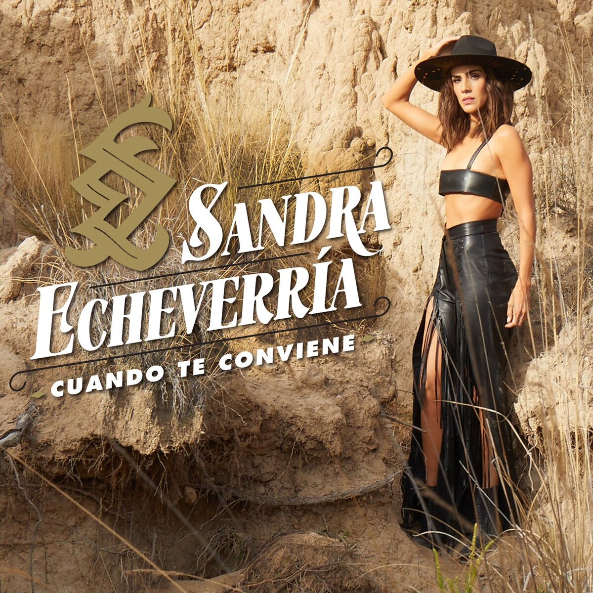 Album cover of Cuando Te Conviene