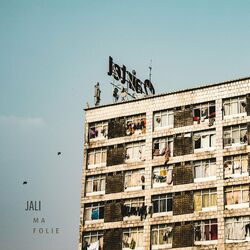 Cover of Ma folie