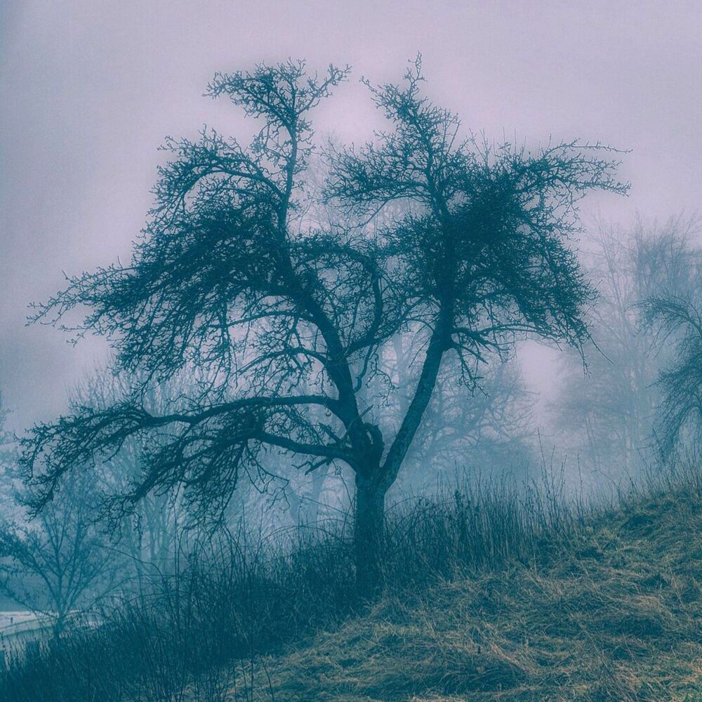 Picture of feeling hunted
