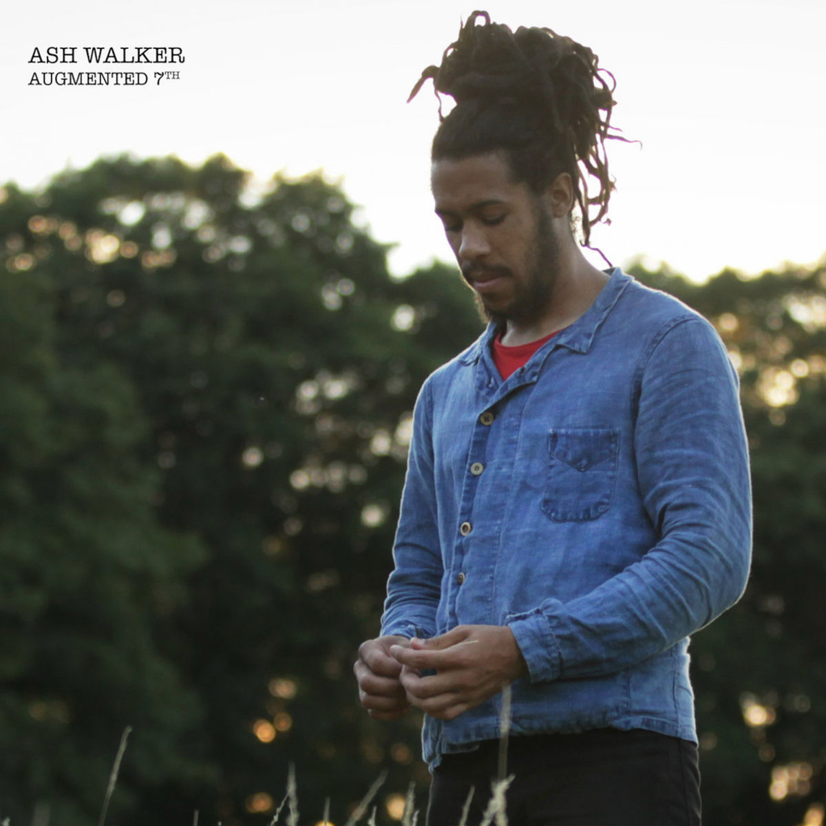 Album cover of Augmented 7th