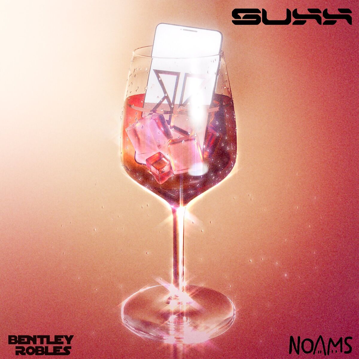 Album cover of Suxx