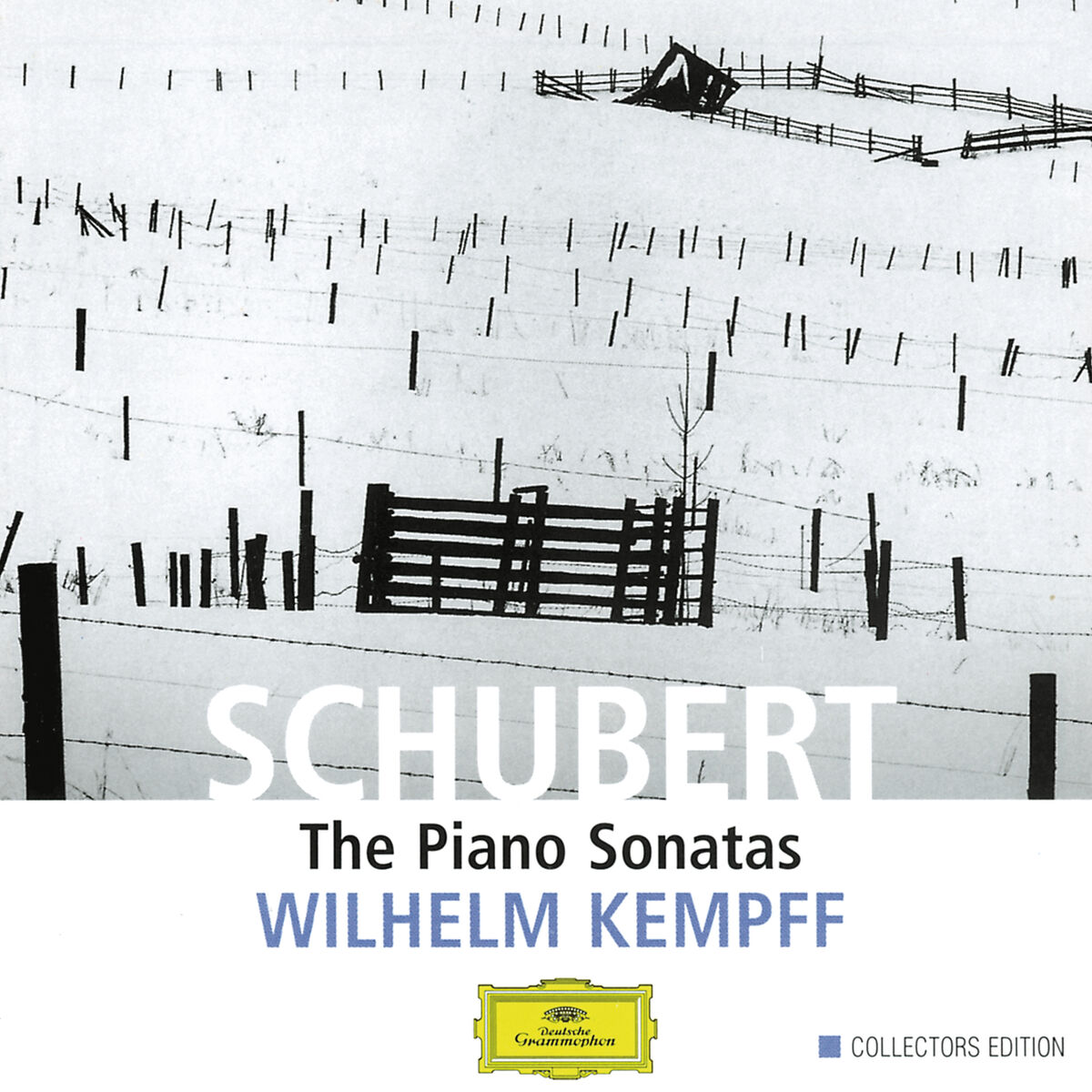 Album cover of Piano Sonata No. 19 in C Minor, D. 958 : Schubert: Piano Sonata No. 19 in C Minor, D. 958: I. Allegro