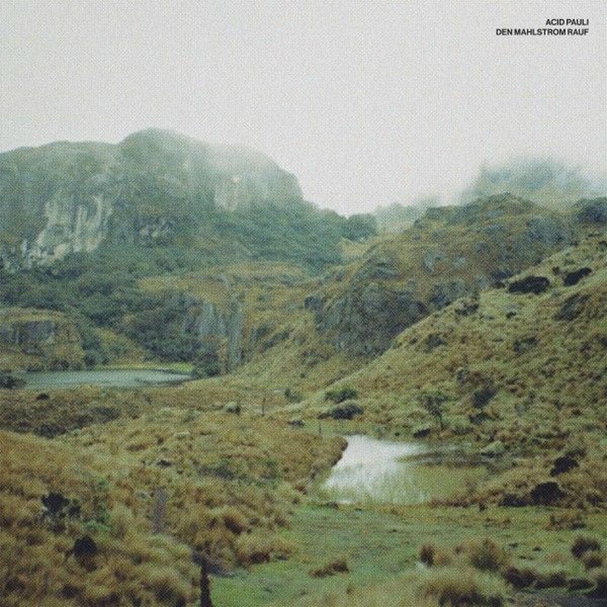 Album cover of Den Mahlstrom runter