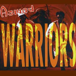 Cover of Warriors