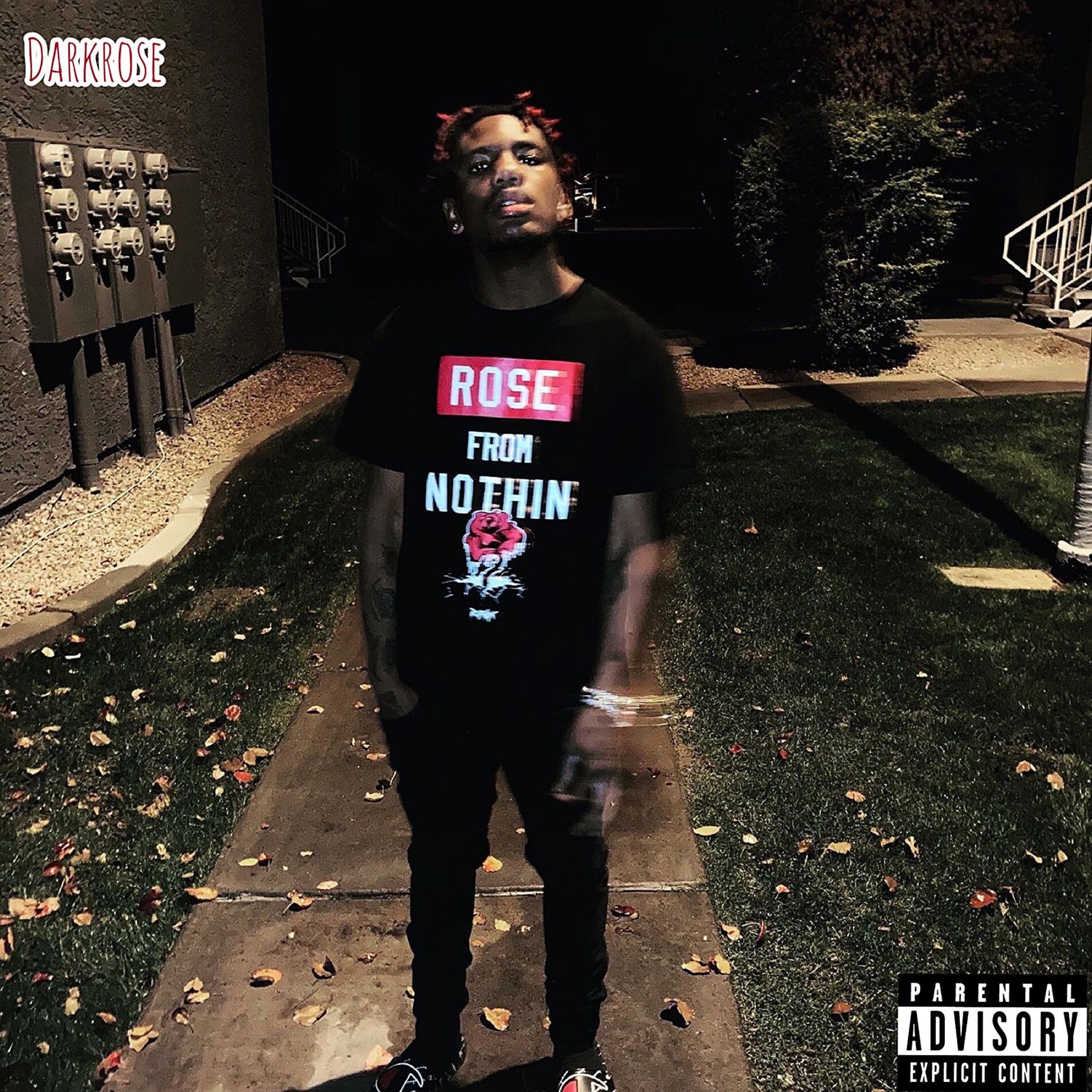 Album cover of Rose From Nothing