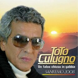 Cover of Un falco chiuso in gabbia (Sanremo 2008)