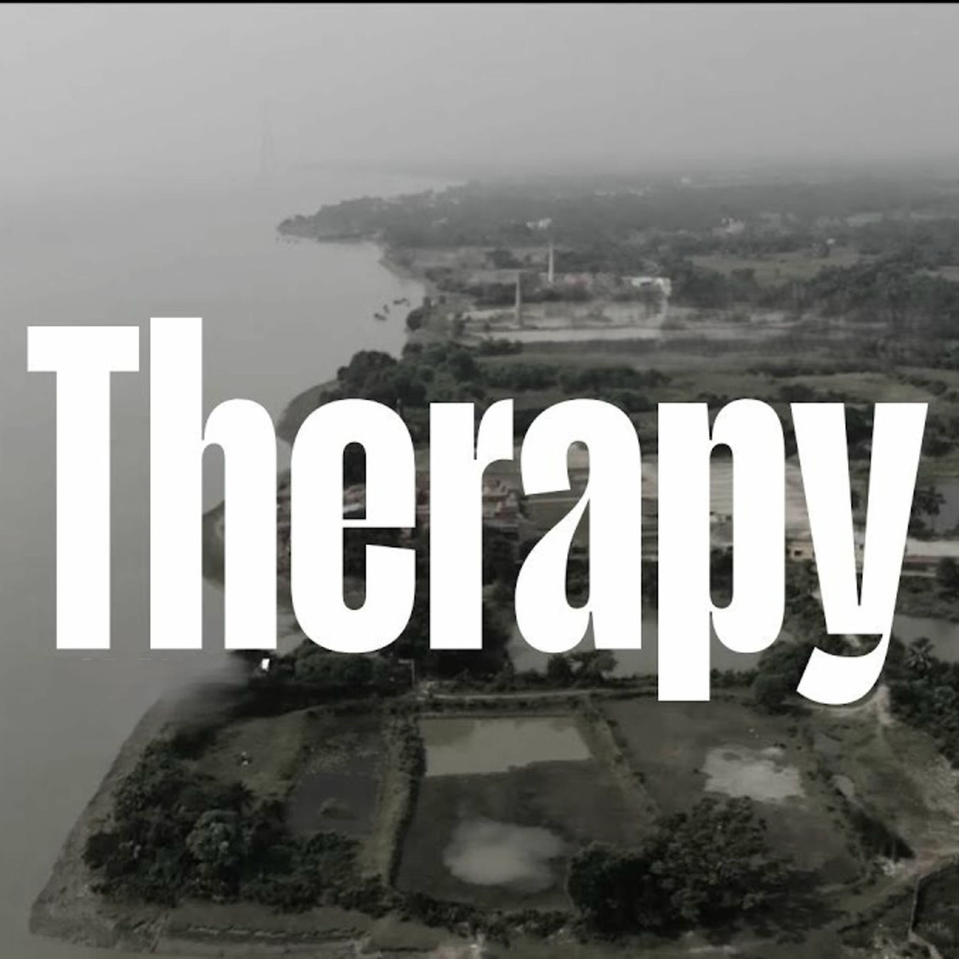 Album cover of Therapy