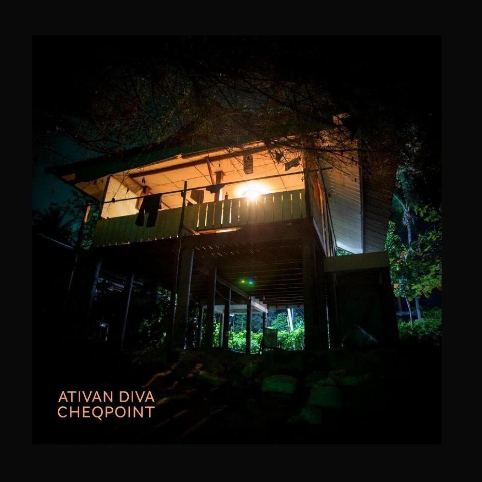 Album cover of Ativan Diva