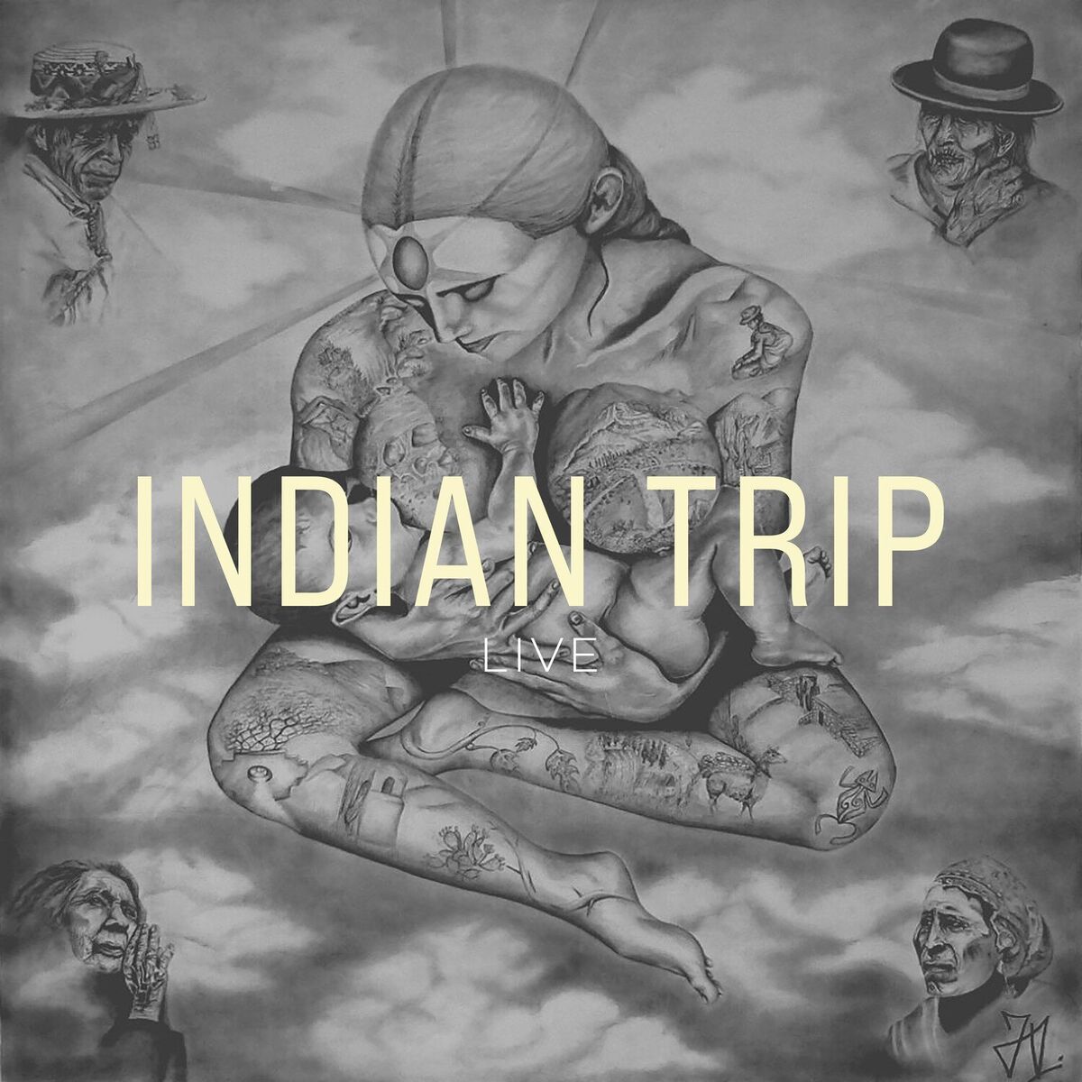 Album cover of Indian Trip (vivo)