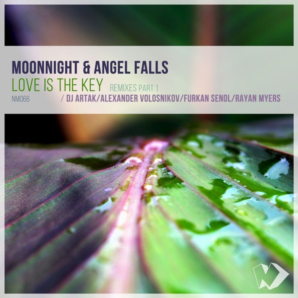 Picture of Love Is the Key (Remixes, Pt. 1)