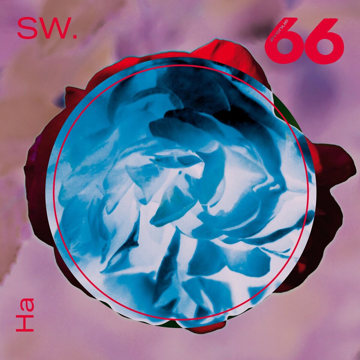 Album cover of Ha