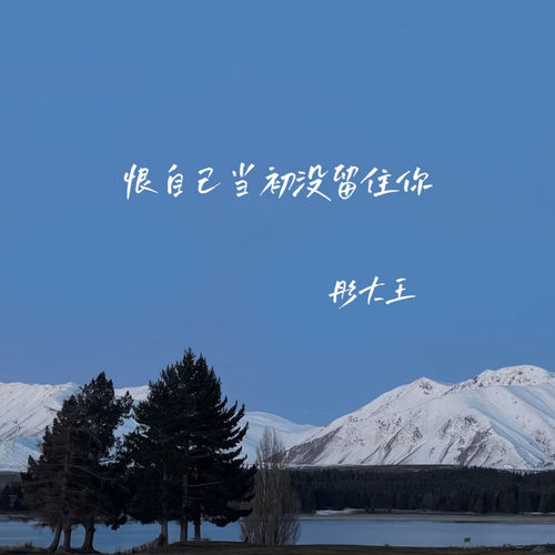 恨自己当初没留住你