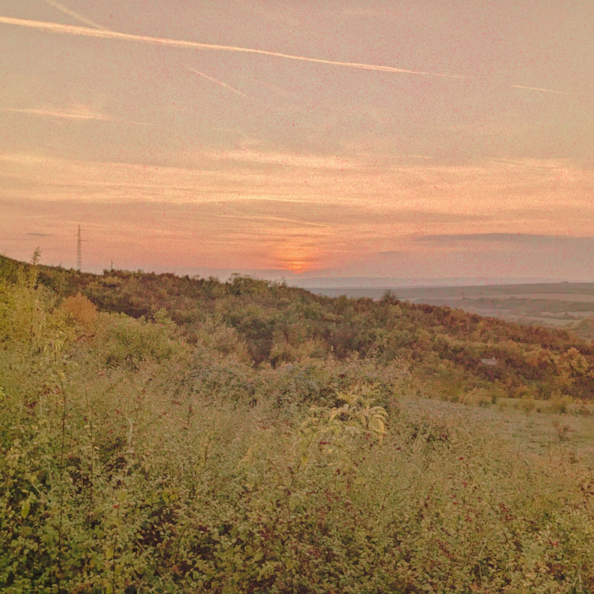 Album cover of Russet