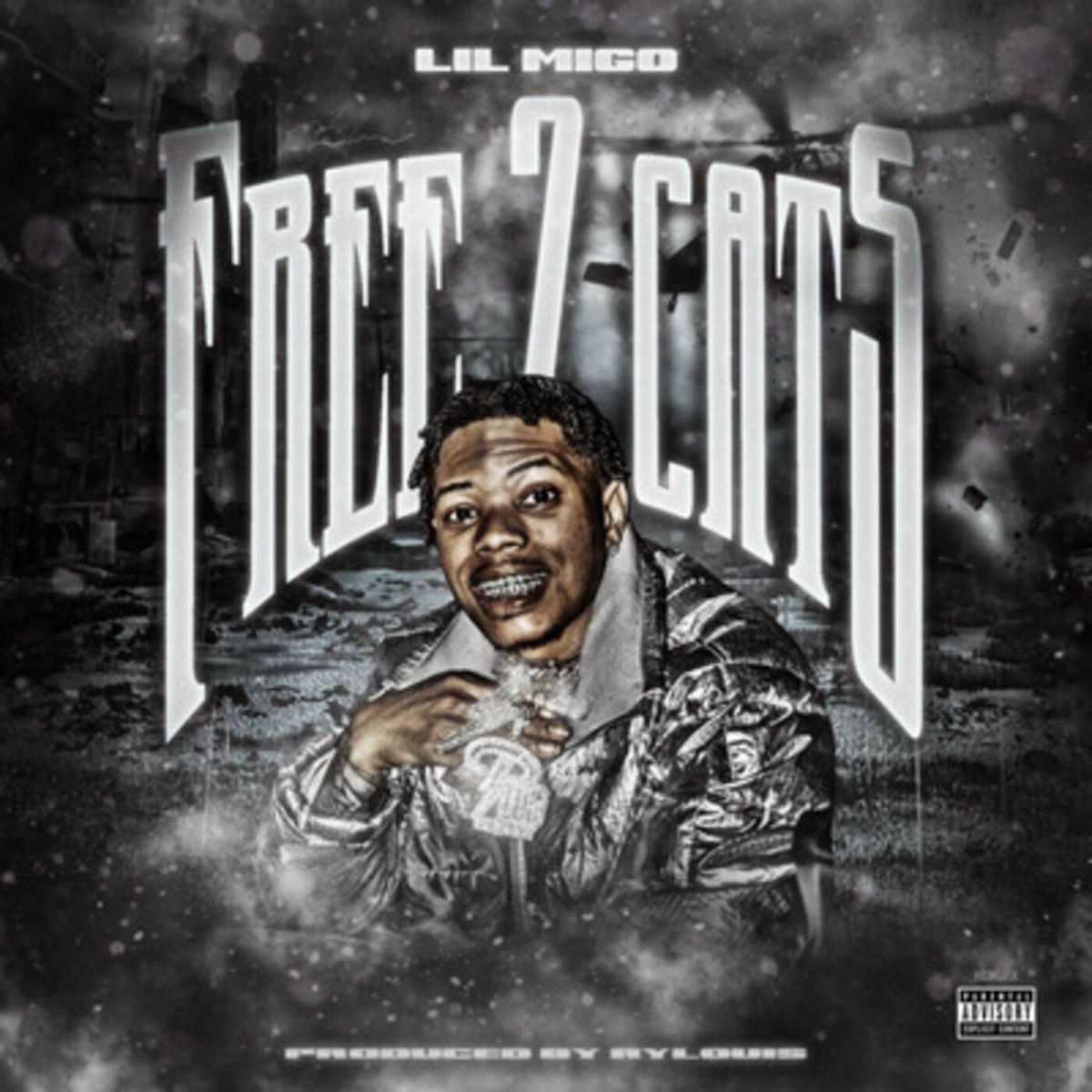 Album cover of Free 2 Cats