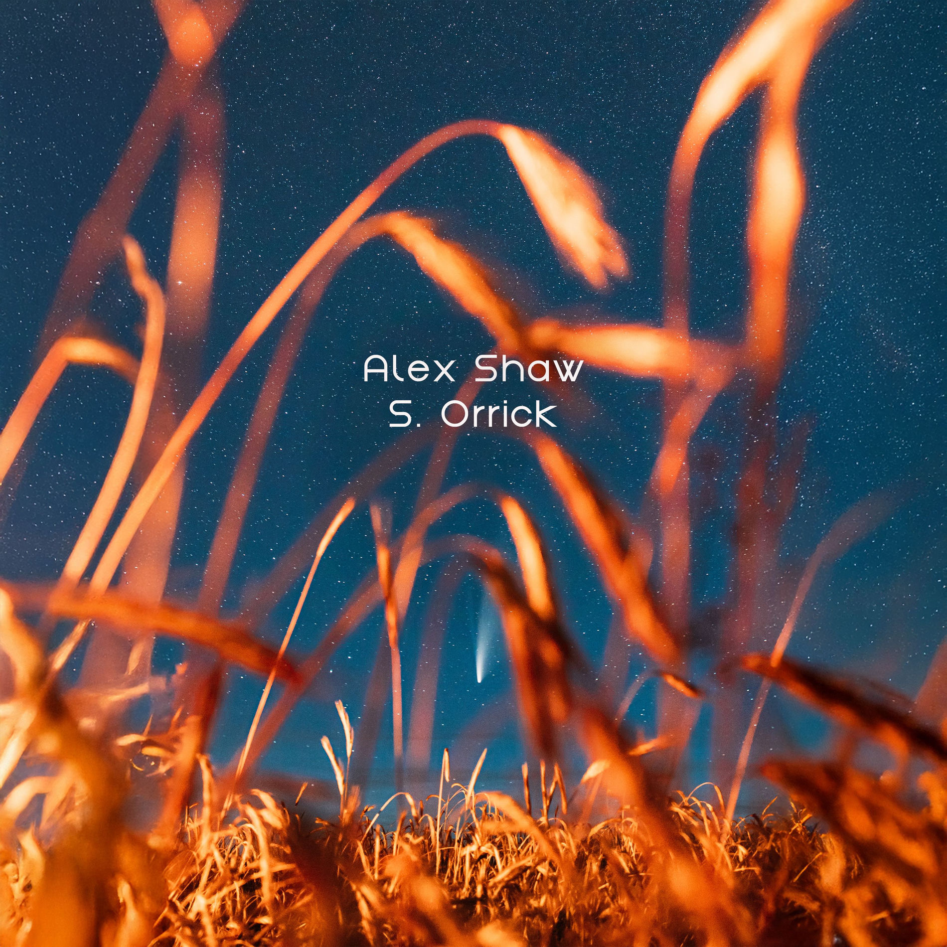 Album cover of Rusted Trumpet By The Window