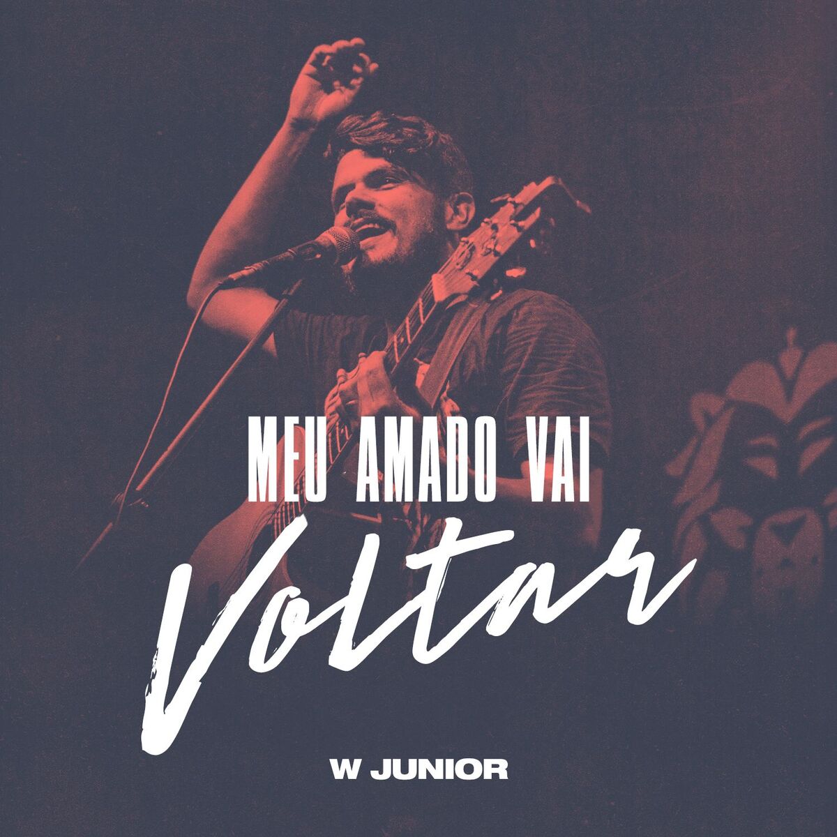 Album cover of Meu Amado Vai Voltar