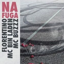 Cover of Na Fuga