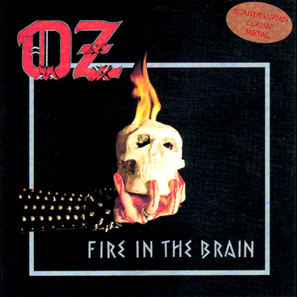 Picture of Fire in the Brain