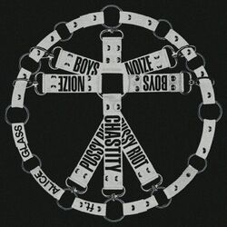 Cover of Chastity