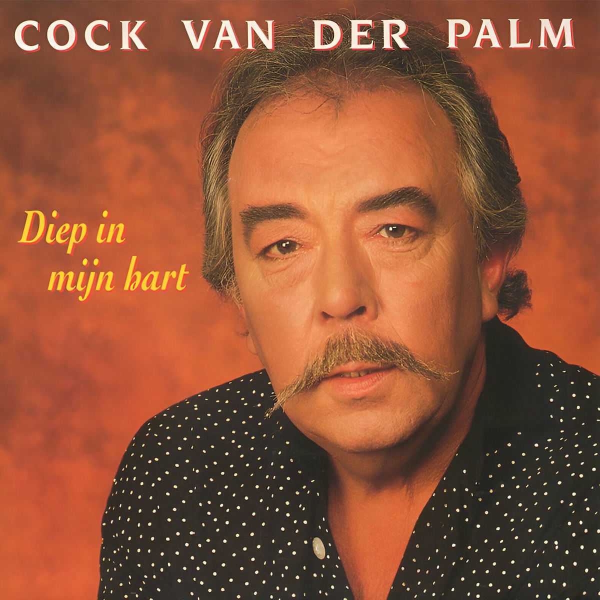 Album cover of Diep In Mijn Hart