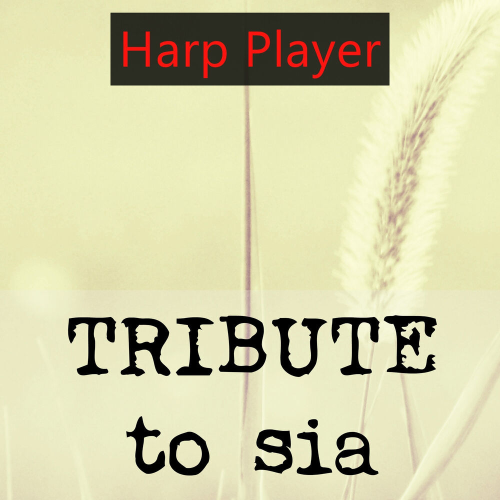 Picture of Tribute to Sia