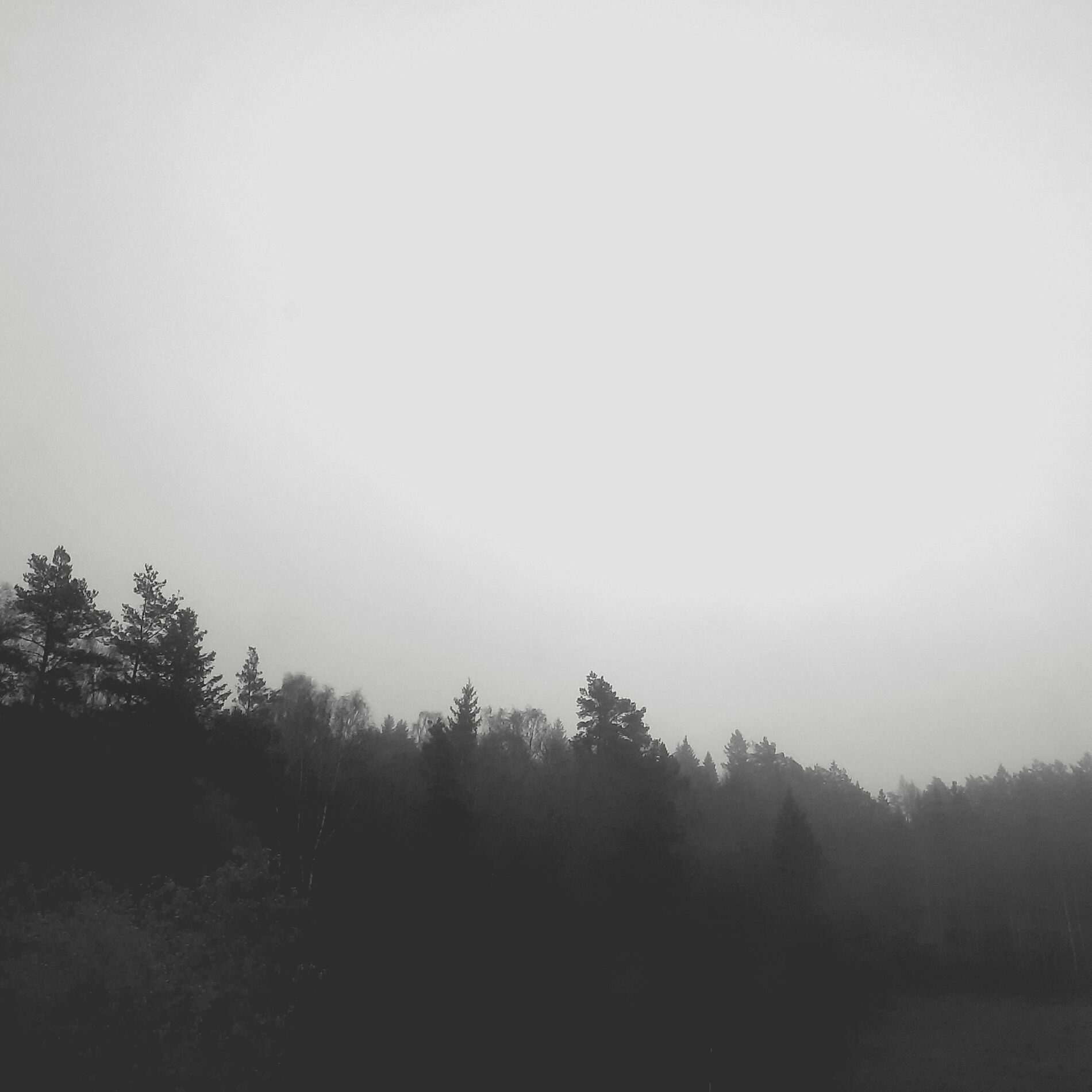 Album cover of I never wanted (feat. Josefin Berger)