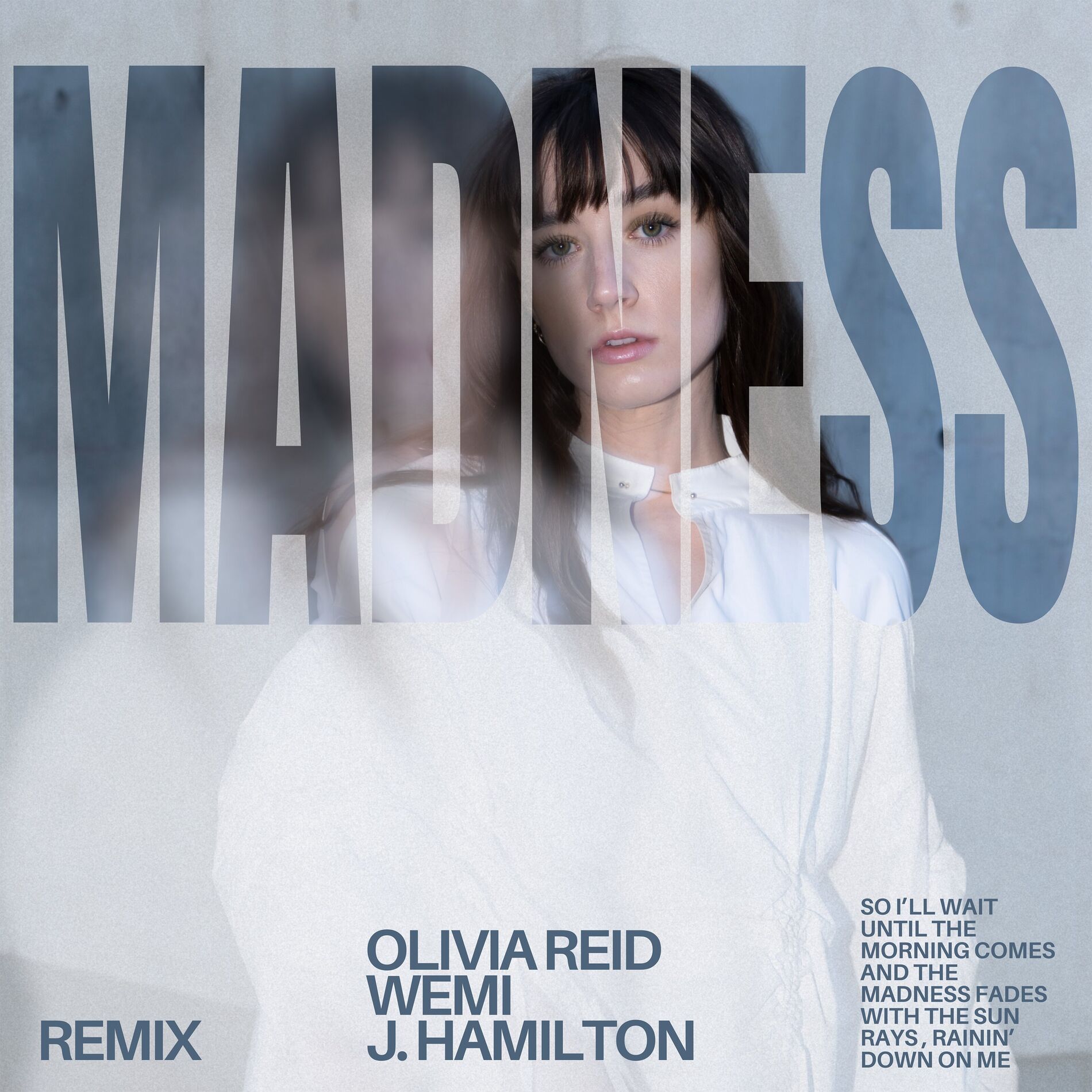Album cover of Madness (WEMI & J. Hamilton Remix)
