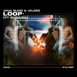 Cover of Loop