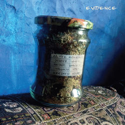 Cover of Evidence by undefined