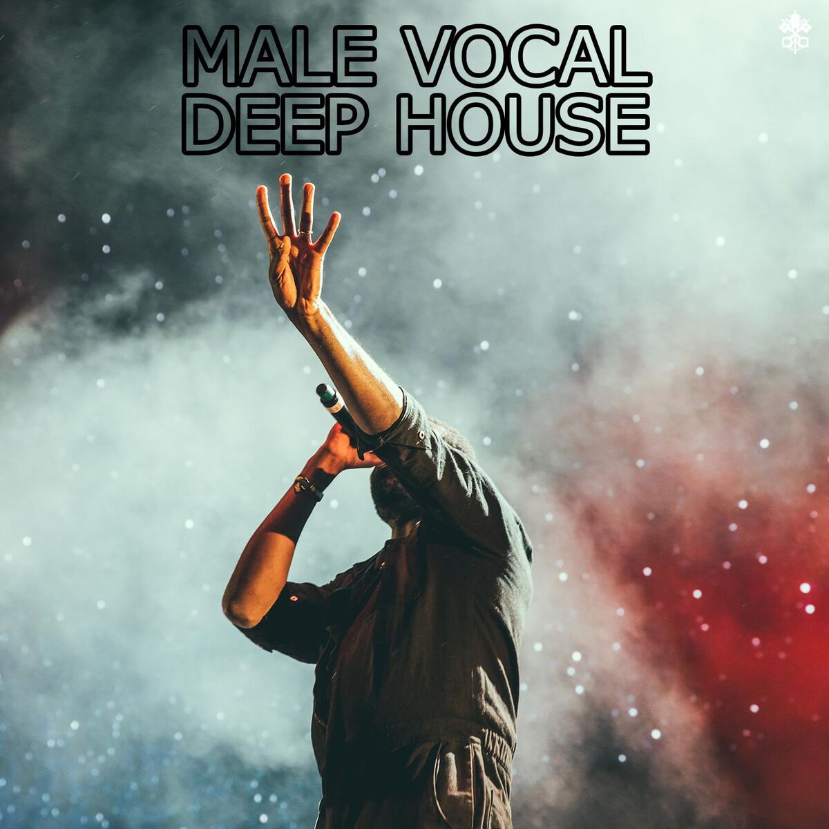 Album cover of Male Vocal Deep House