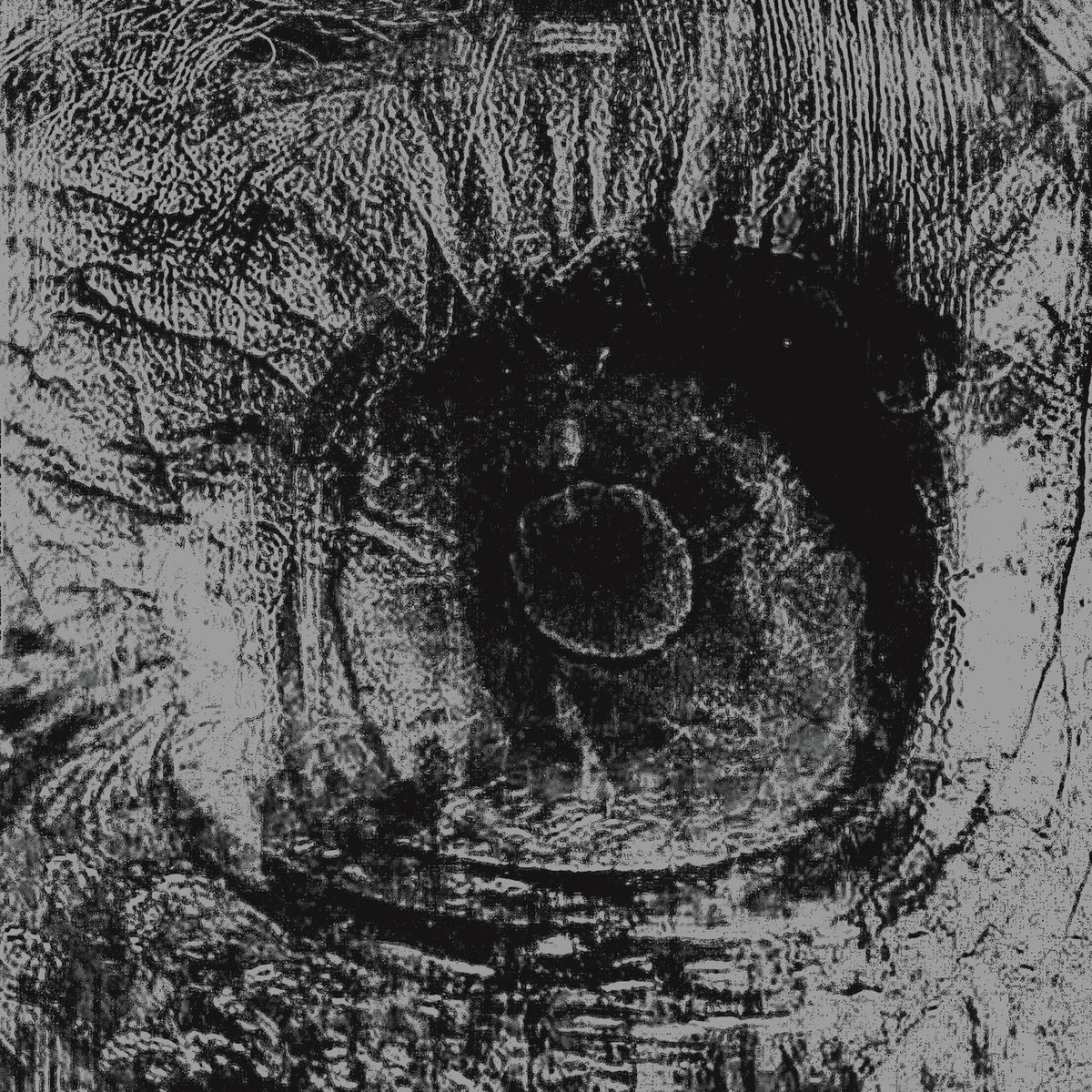 Album cover of 7 Skies H3