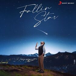 Cover of Fallin Star