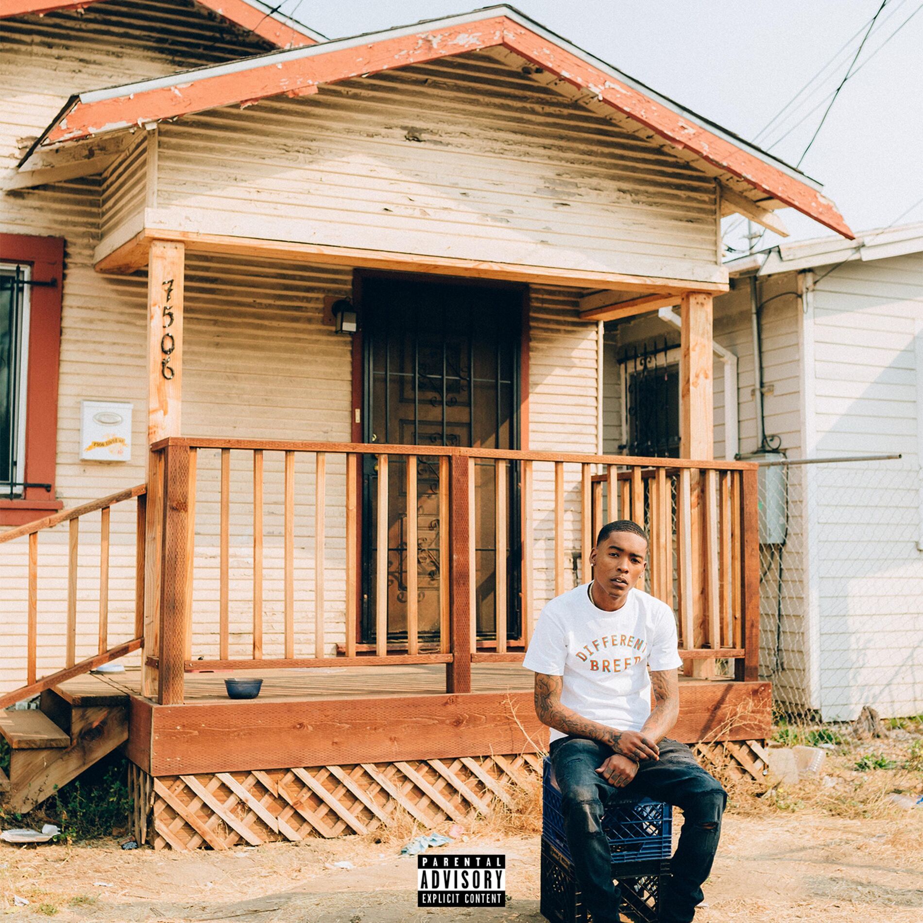 Album cover of Different Breed
