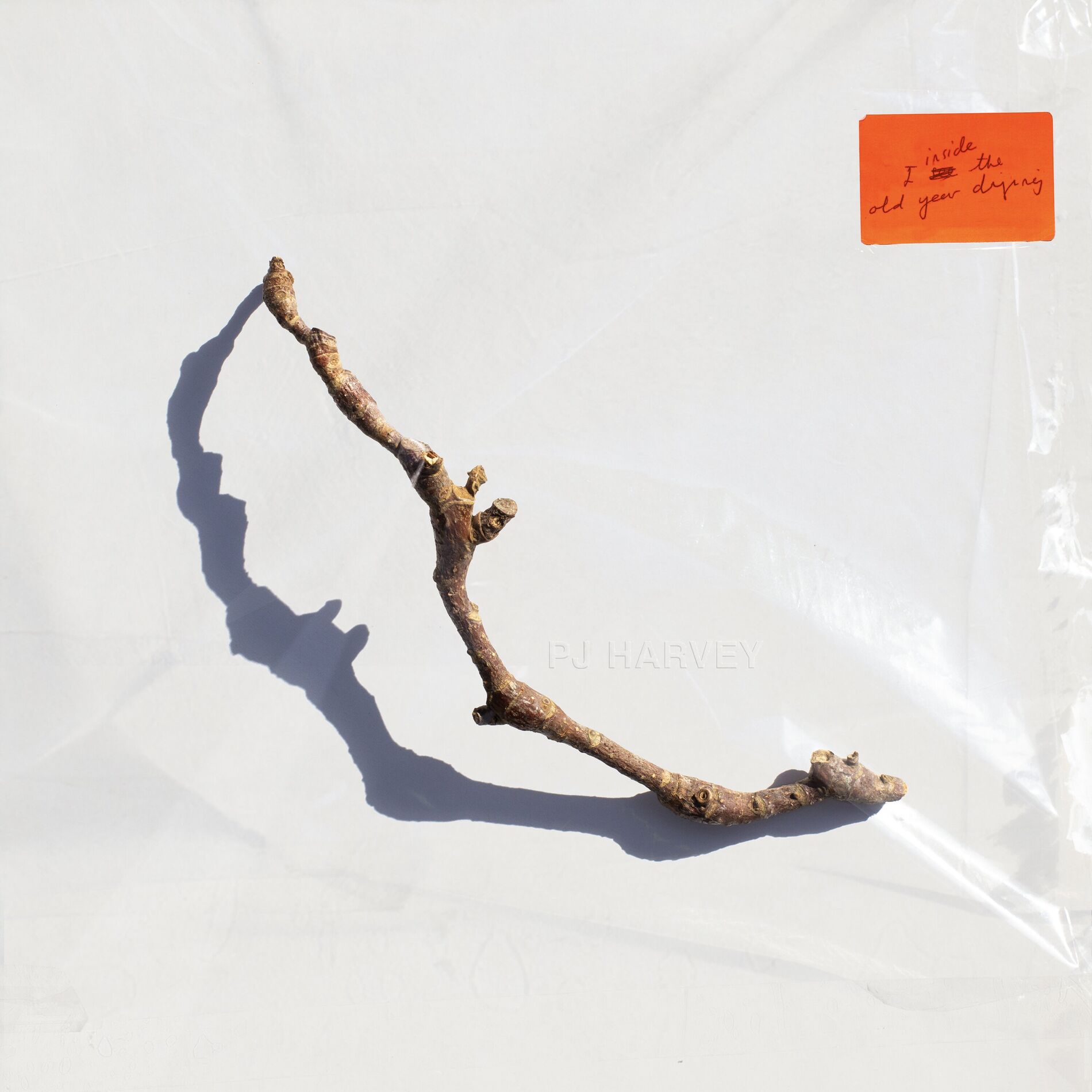 Album cover of I Inside the Old I Dying
