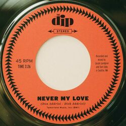 Cover of Never My Love