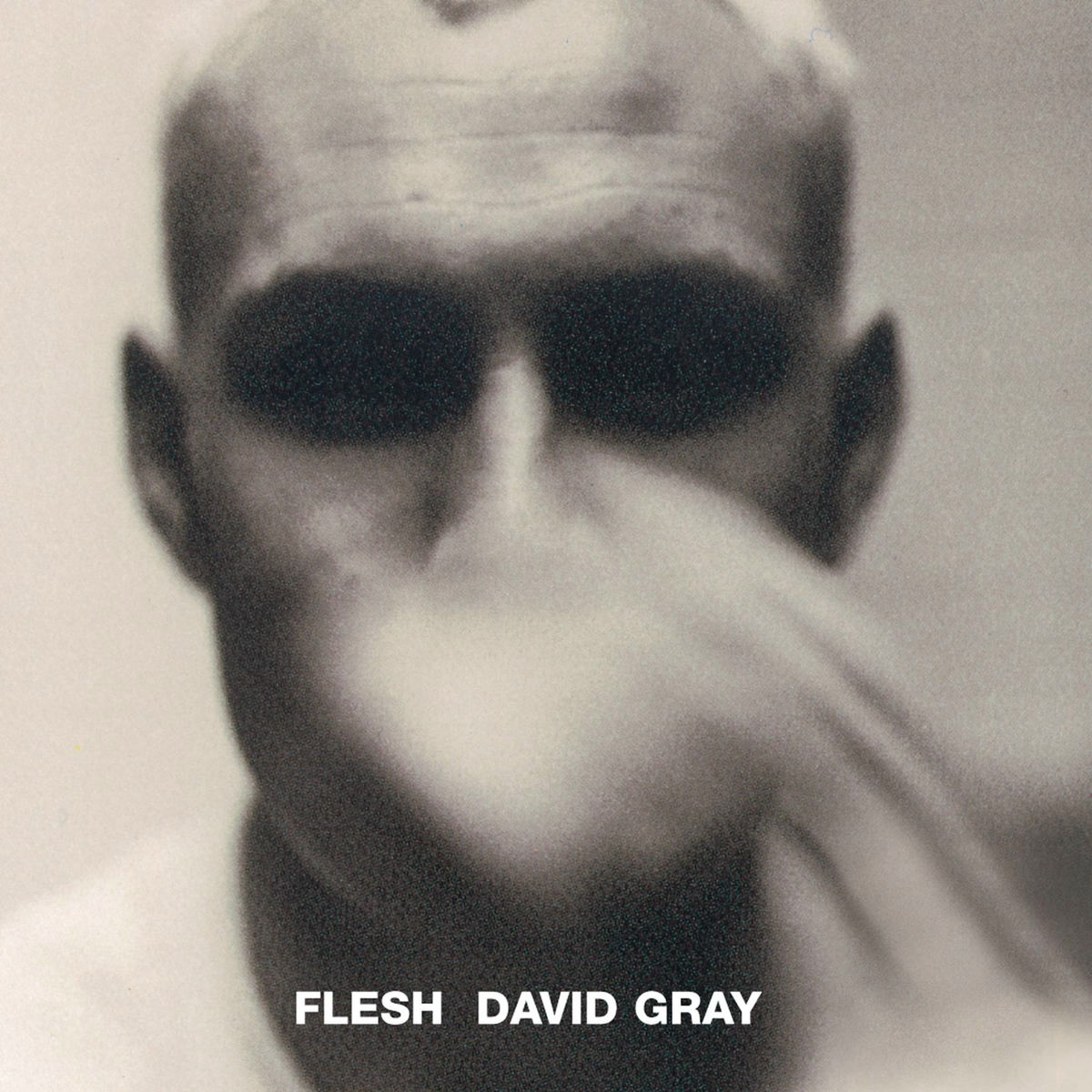 Album cover of Flesh