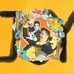 Cover of Joy
