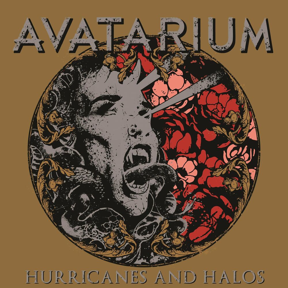 Picture of Hurricanes and Halos