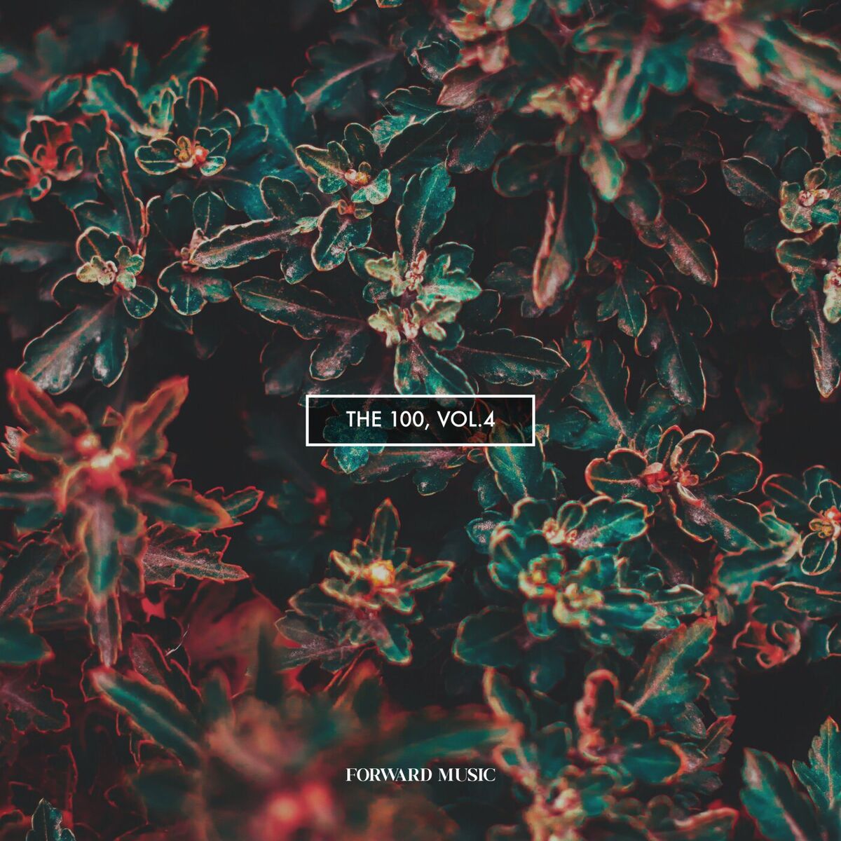 Album cover of The 100, Vol. 4