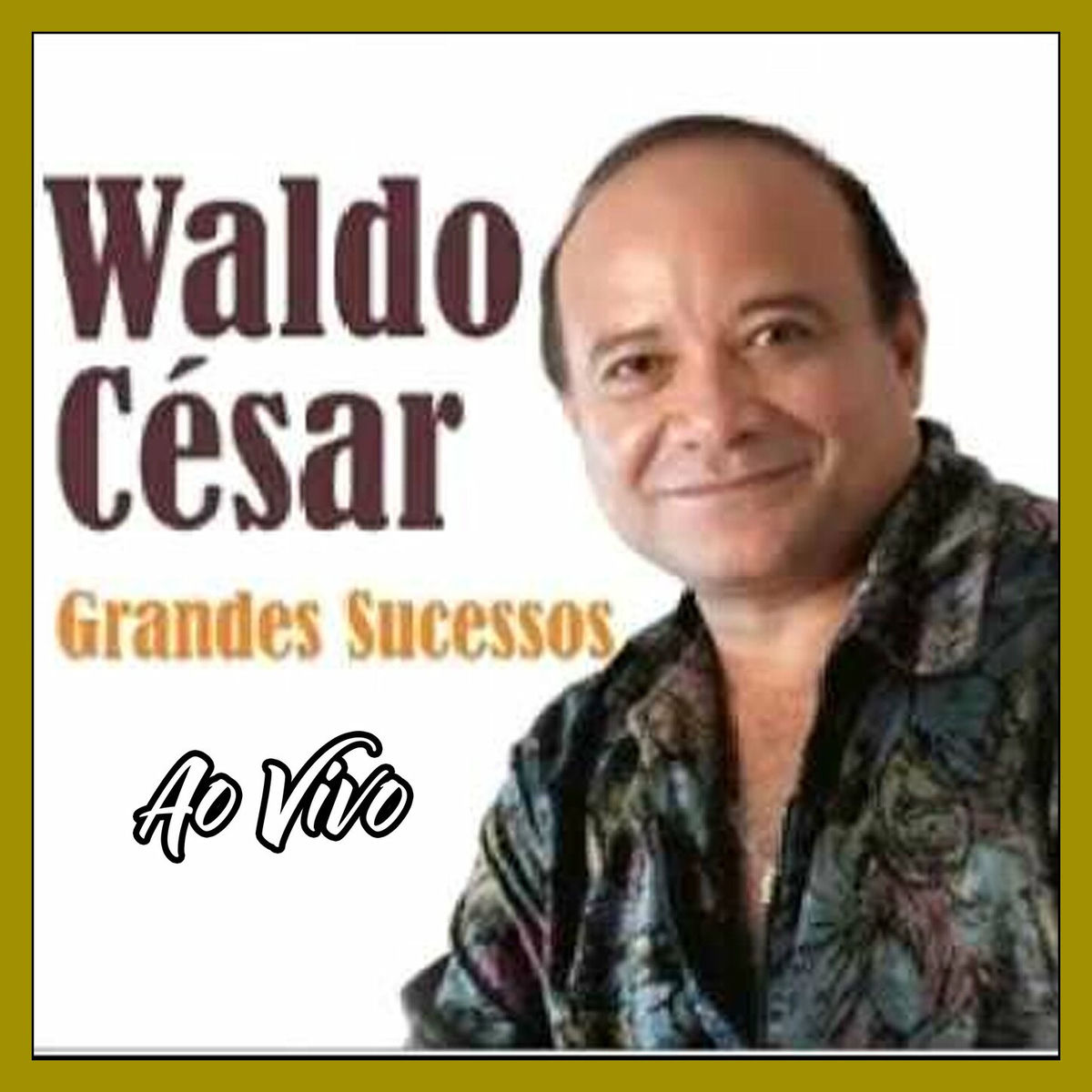 Album cover of GRANDES SUCESSOS - AO VIVO